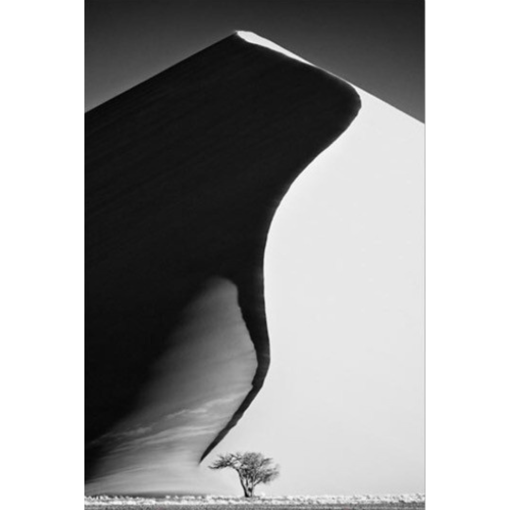 NAM_01 David Ballam Print Dune and Tree
