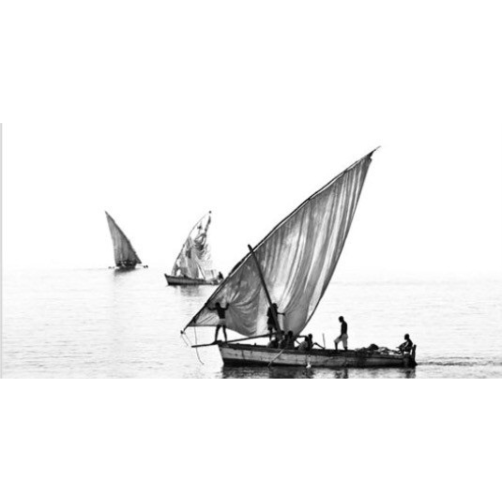 ILHA_28 David Ballam Print Three Dhows under Sail