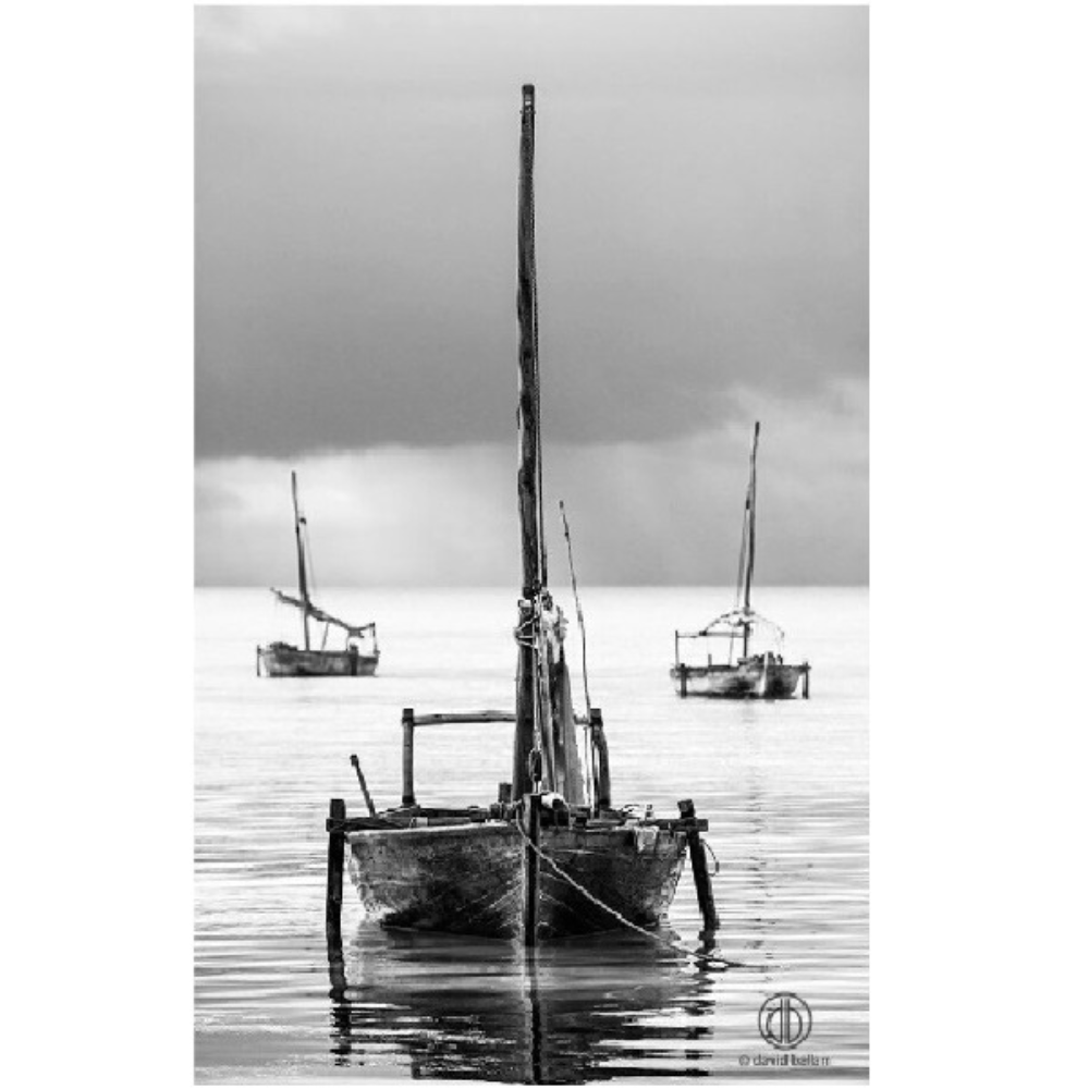 ZAN_15 David Ballam Print Dhows