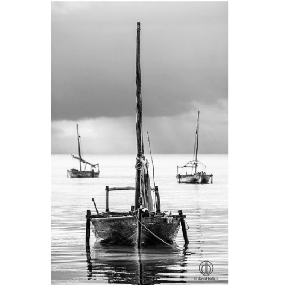 David Ballam Print Coastal ZAN_15