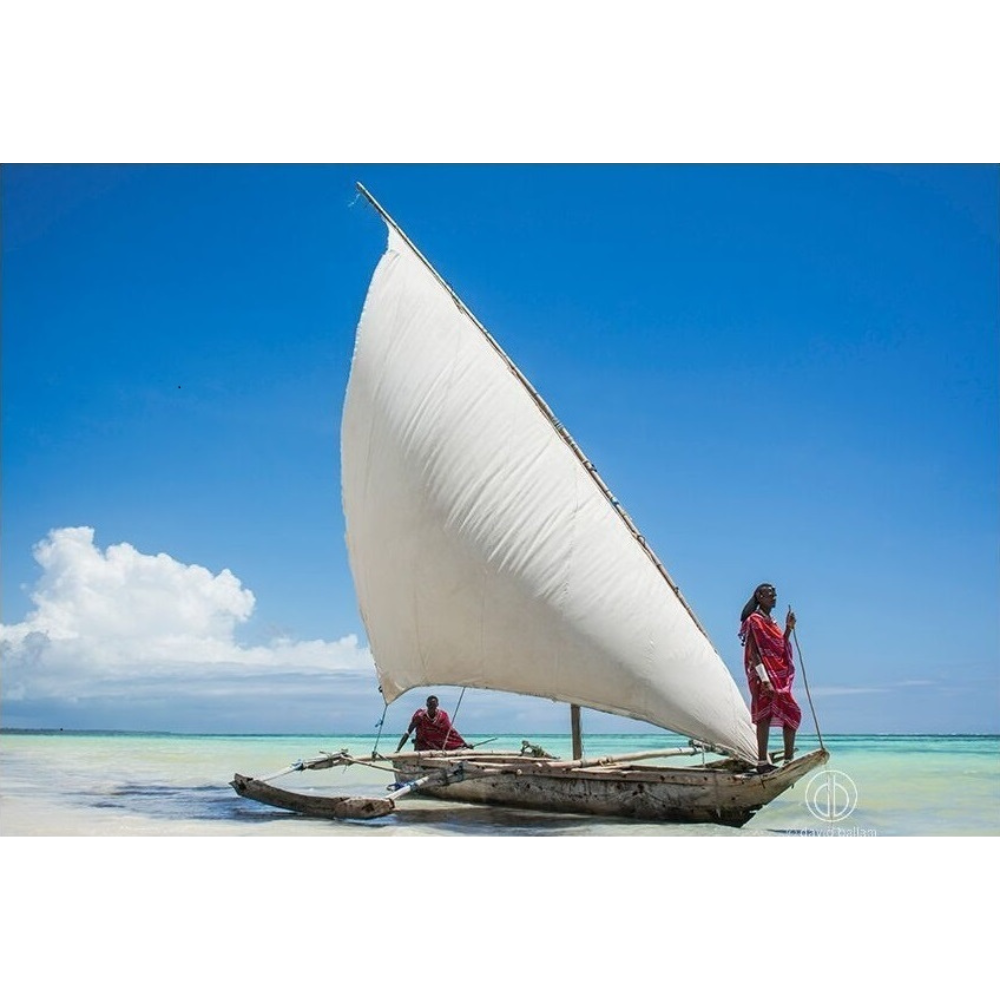 ZAN_81 David Ballam Print Dhow