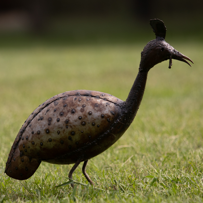 Guinea Fowl