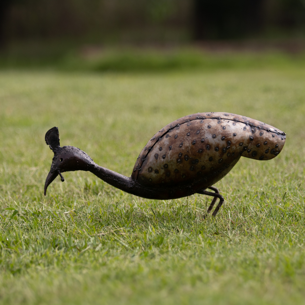 Guinea Fowl