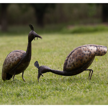 Guinea Fowl