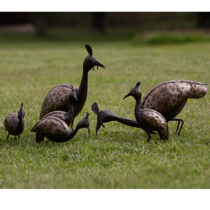 Guinea Fowl