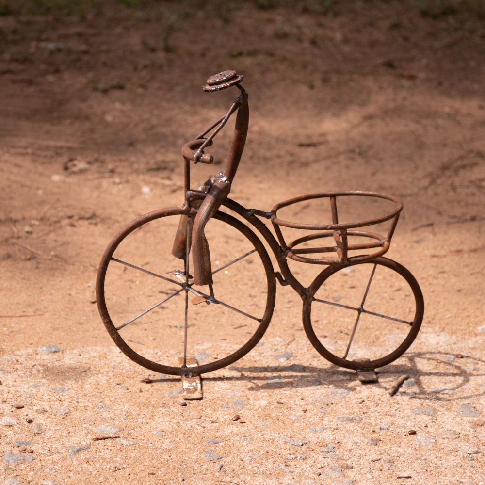 Man on Bicycle