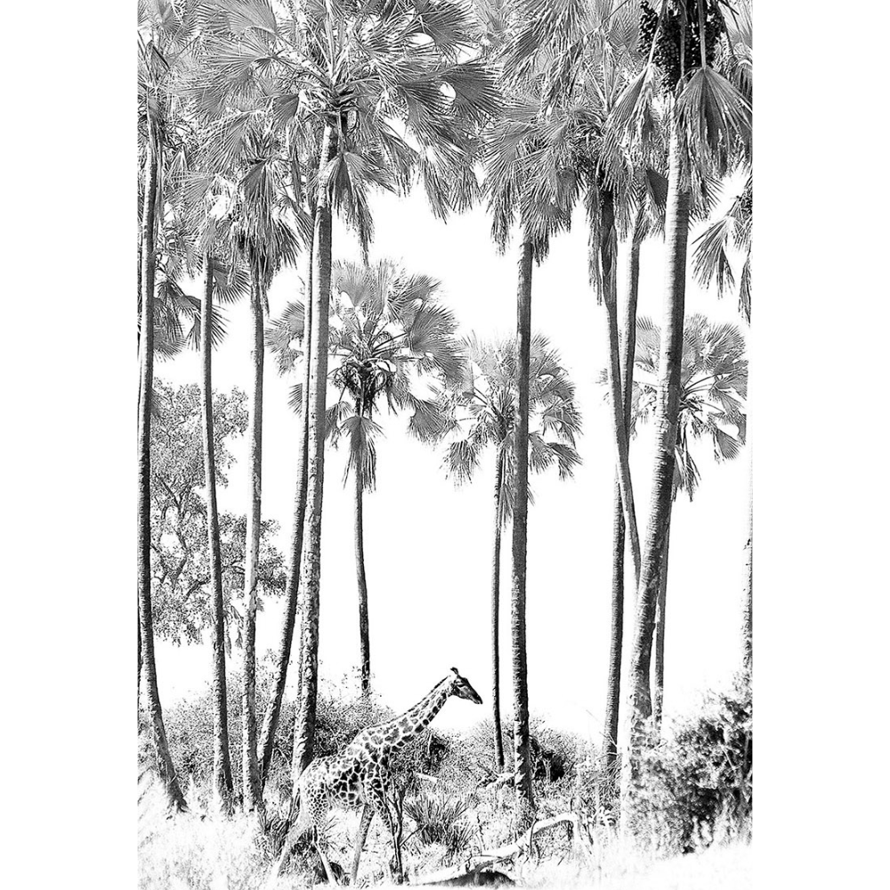 Charlotte Thompson Print Wildlife WA_397 B/W