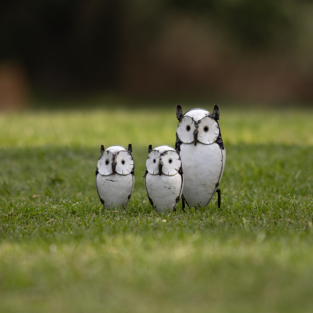 Owl White With Ears