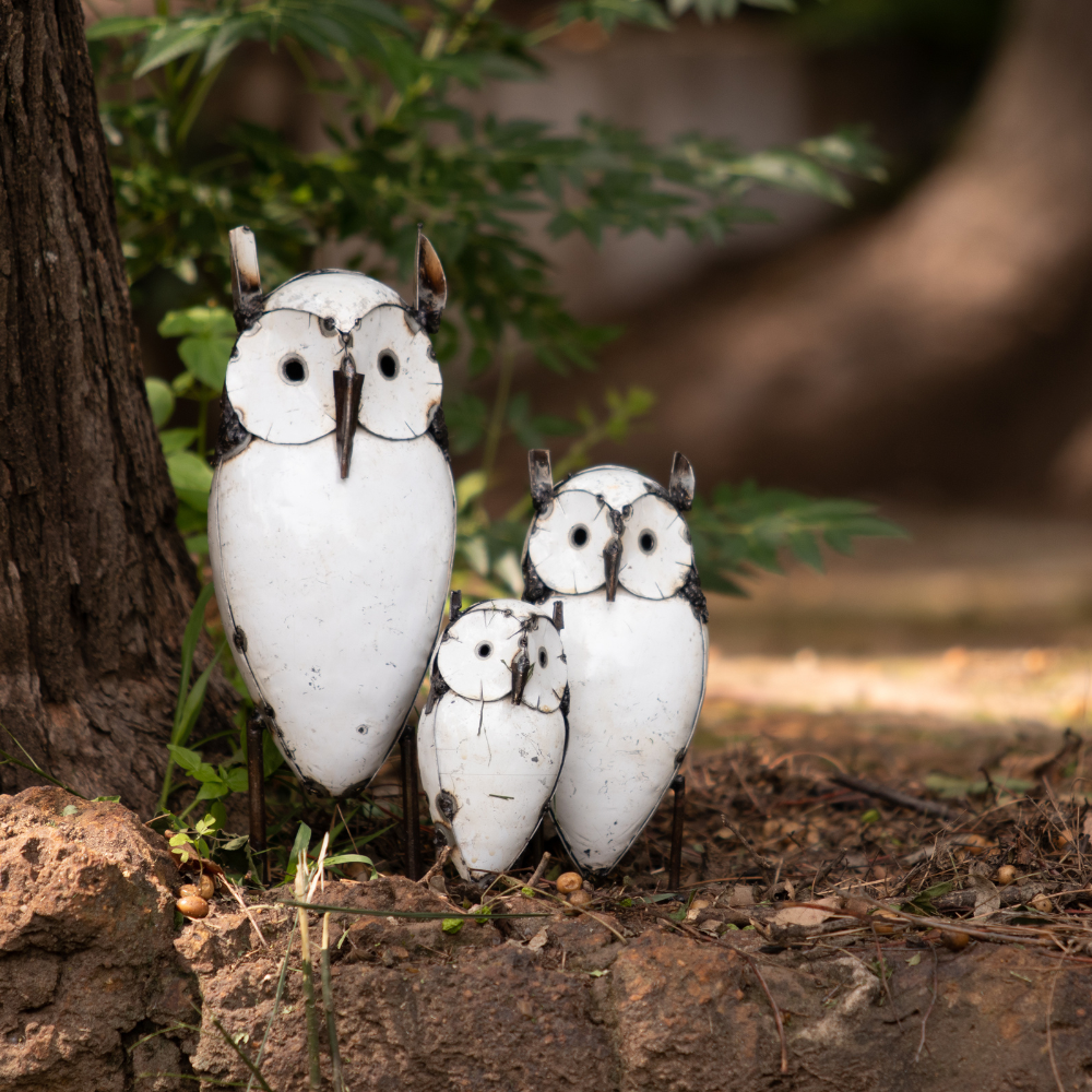 Owl White With Ears