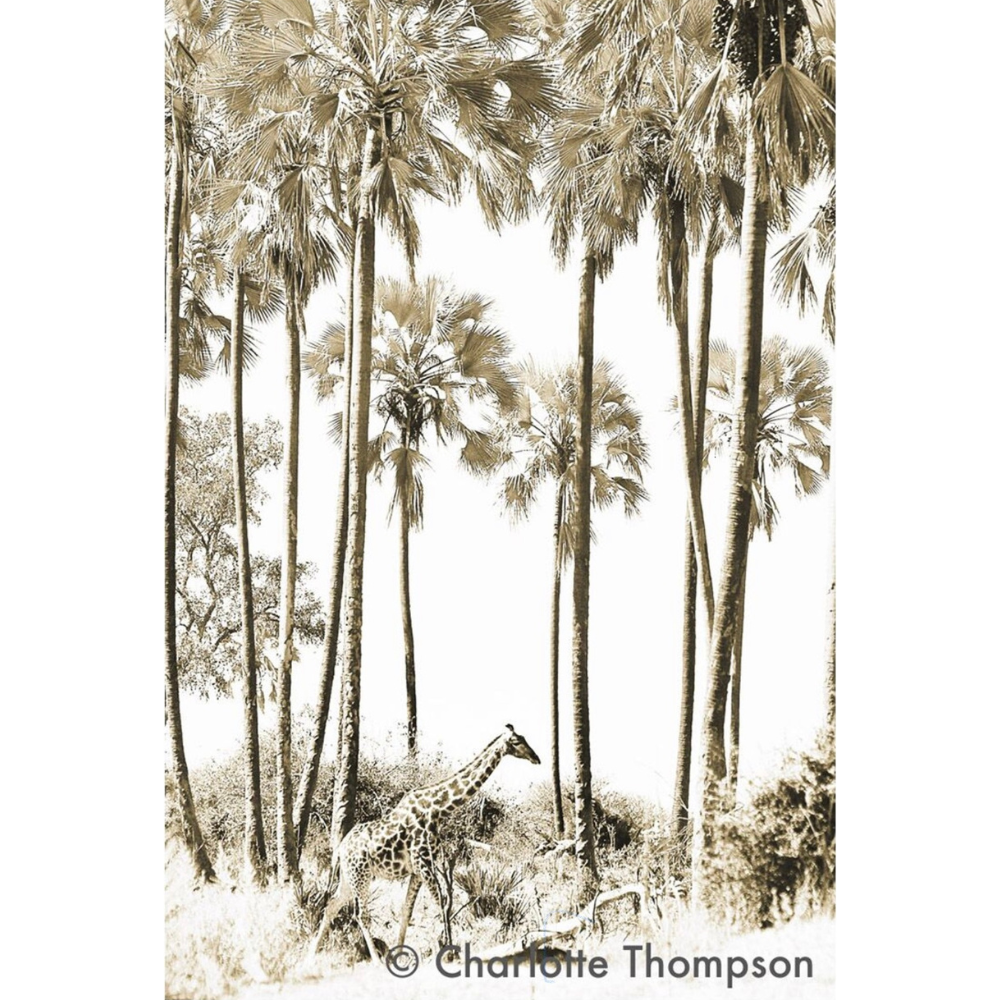 Charlotte Thompson Print Wildlife WA_397  SEPIA