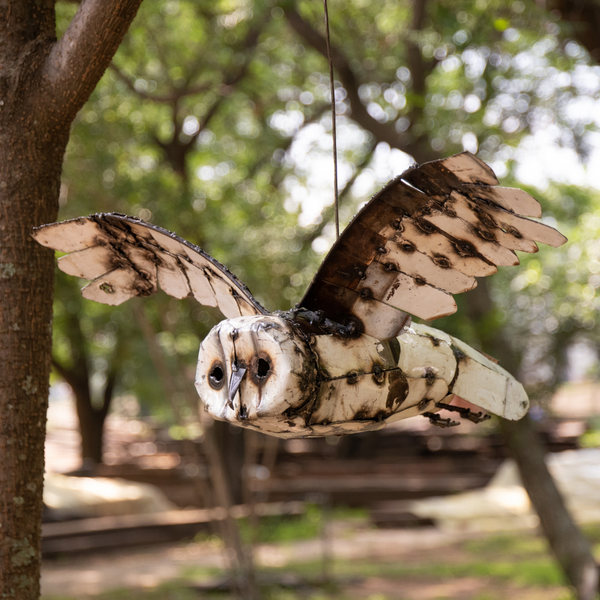 Owl White Flying