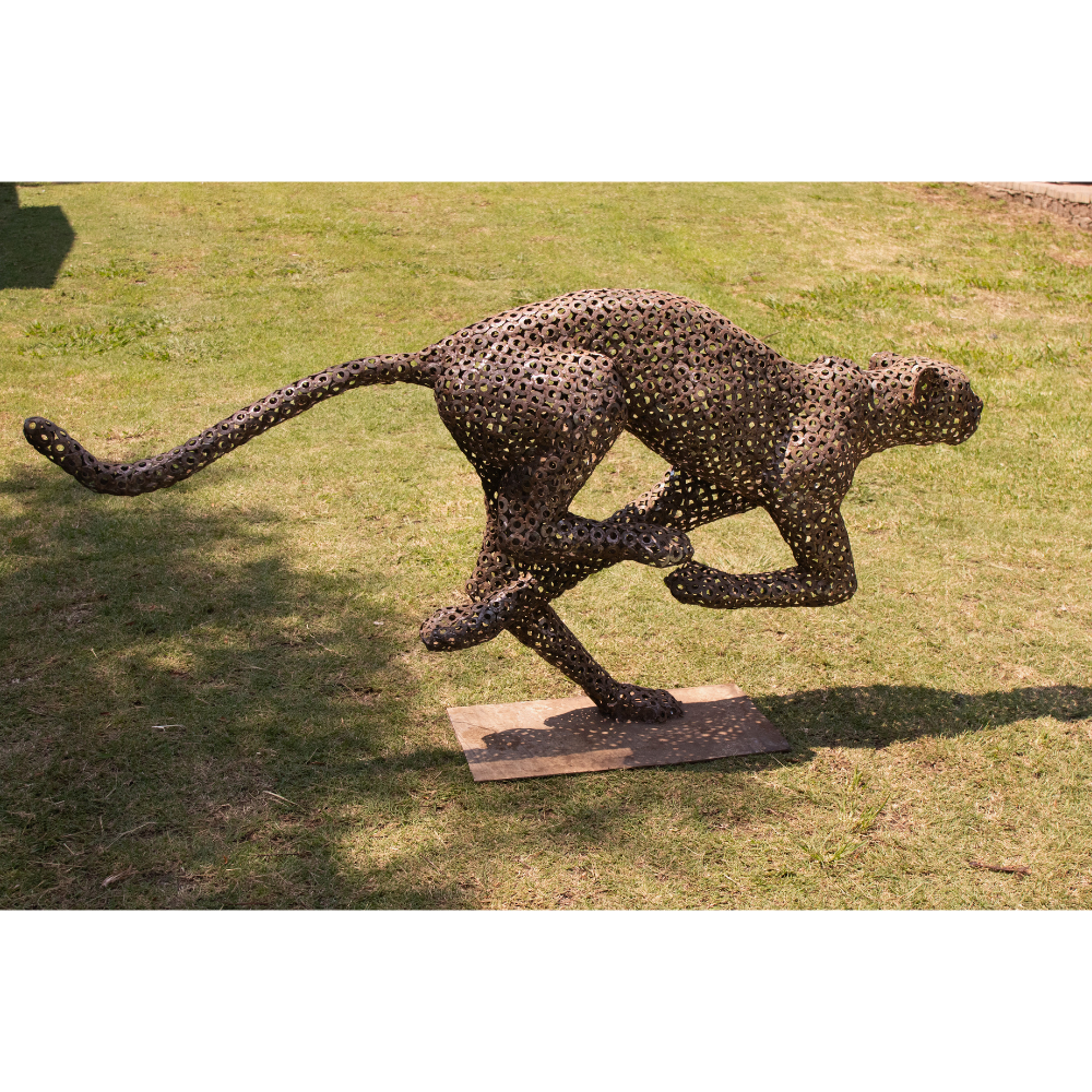 Cheetah Washers