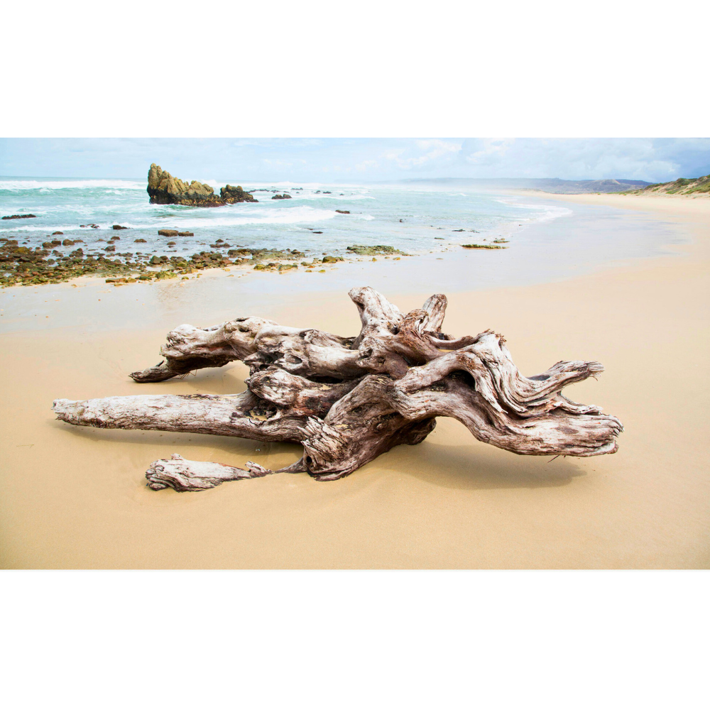 RDT_344 Richard Du Toit Print Drift Wood