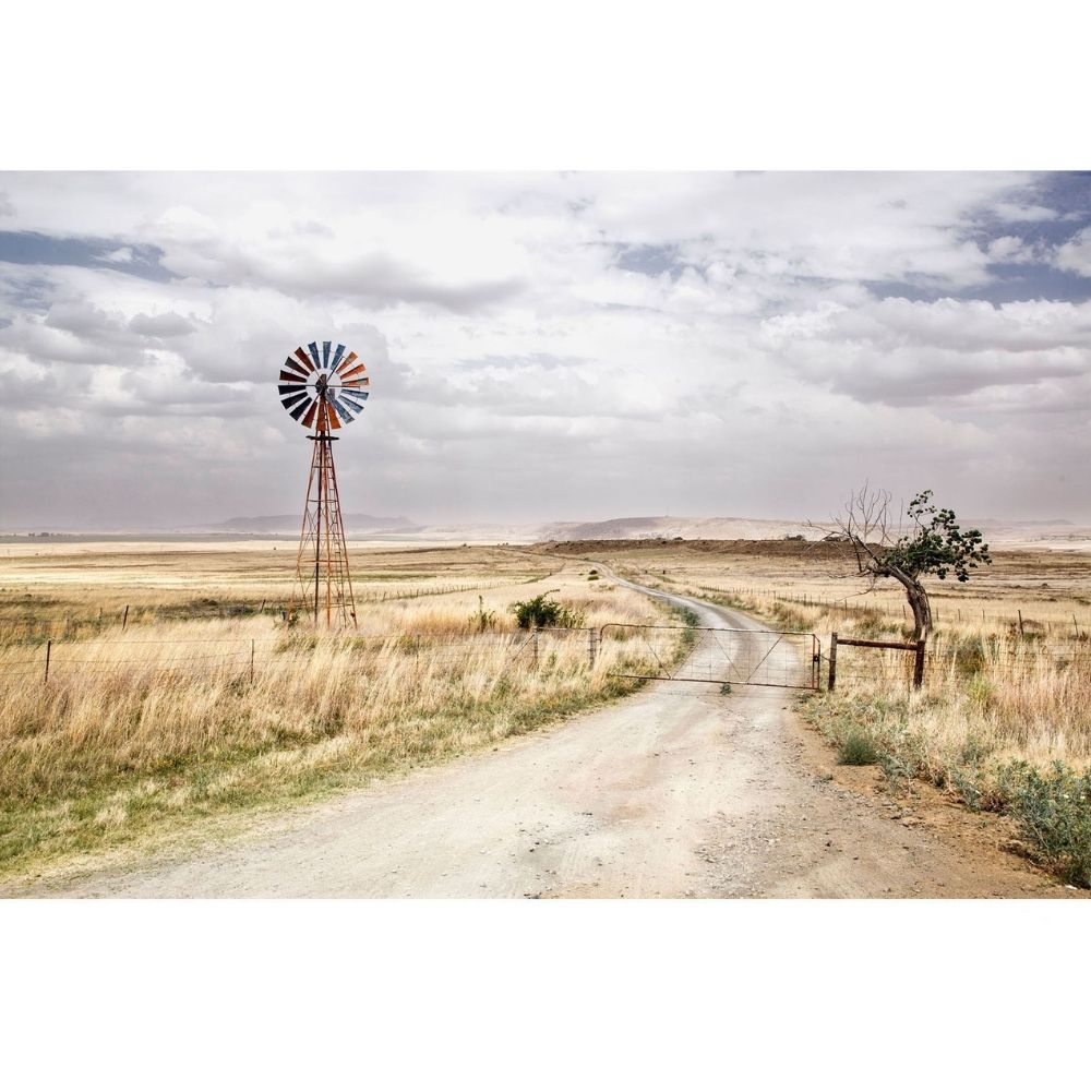 RDT_564 Richard Du Toit Print Windmill