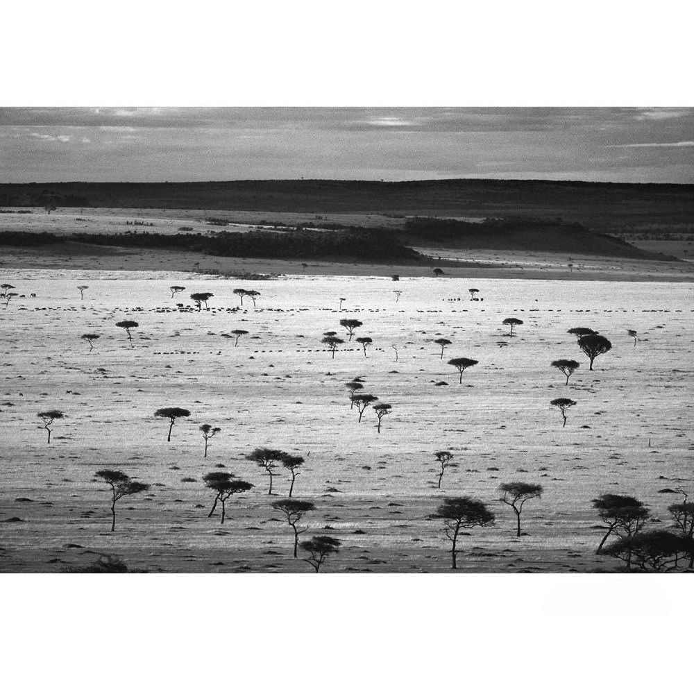 RDT_165 Richard Du Toit Great Plains