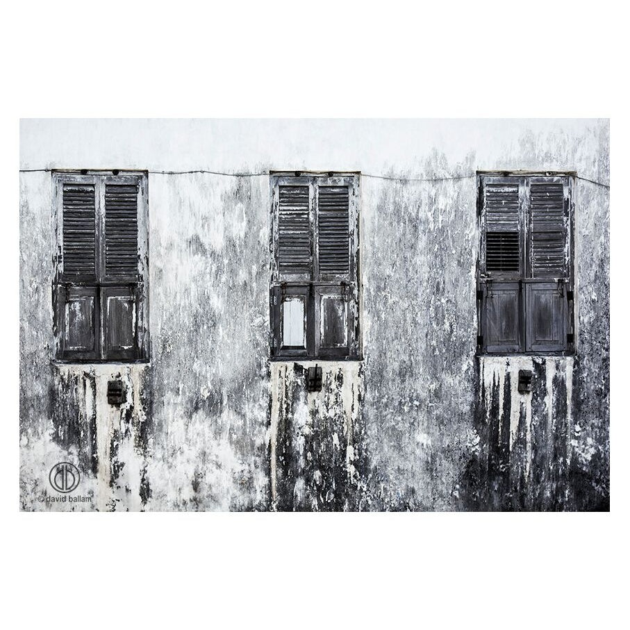 ZAN_26 David Ballam Print Windows